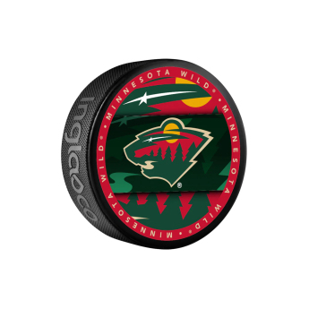 Minnesota Wild korong Medallion Souvenir Collector