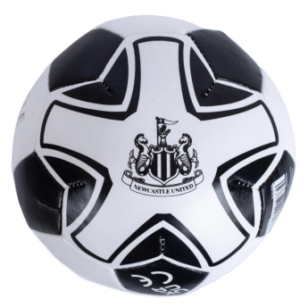 Newcastle United puha mini labda 4 inch Soft