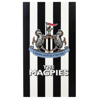 Newcastle United fürdőlepedő striped design