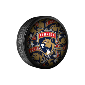 Florida Panthers korong Clone 2022 Souvenir Collector Hockey