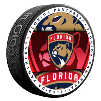 Florida Panthers korong Medallion Souvenir Collector