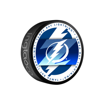 Tampa Bay Lightning korong Medallion Souvenir Collector