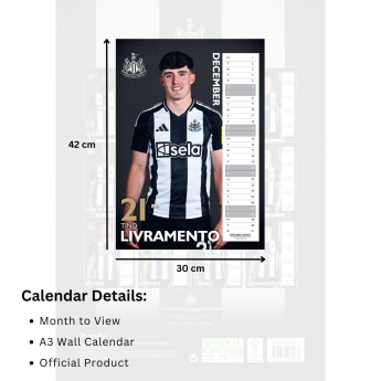 Newcastle United naptár 2025